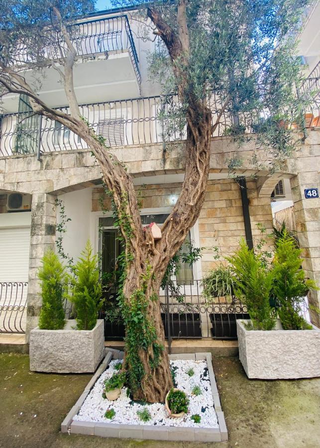 Apartment Oliva1 Petrovac Extérieur photo
